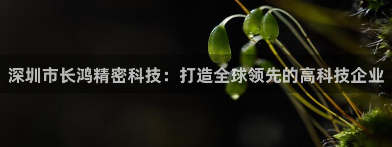 深圳市长鸿精密科技：打造全球领先的高科技企业