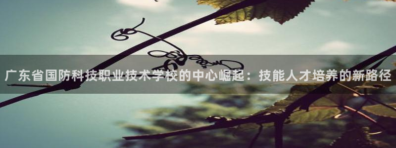 广东省国防科技职业技术学校的中心崛起：技能人才培养的新路径