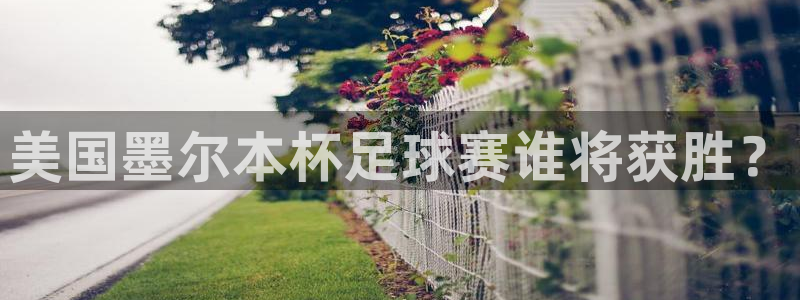 美国墨尔本杯足球赛谁将获胜？