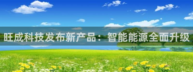 旺成科技发布新产品：智能能源全面升级