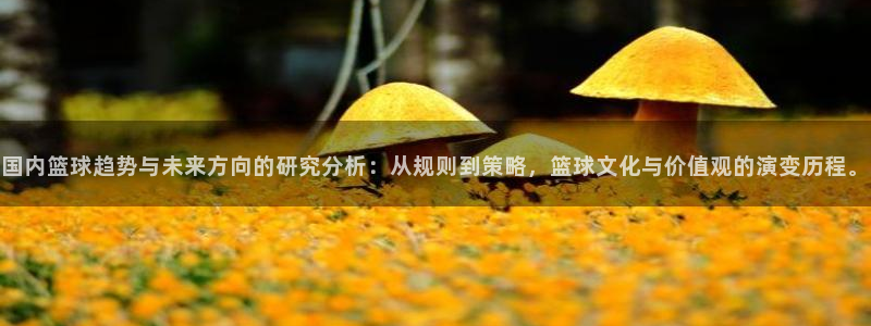 国内篮球趋势与未来方向的研究分析：从规则到策略，篮球文化与价值观的演变历程。