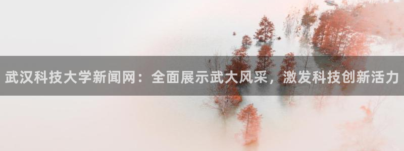 武汉科技大学新闻网：全面展示武大风采，激发科技创新活力