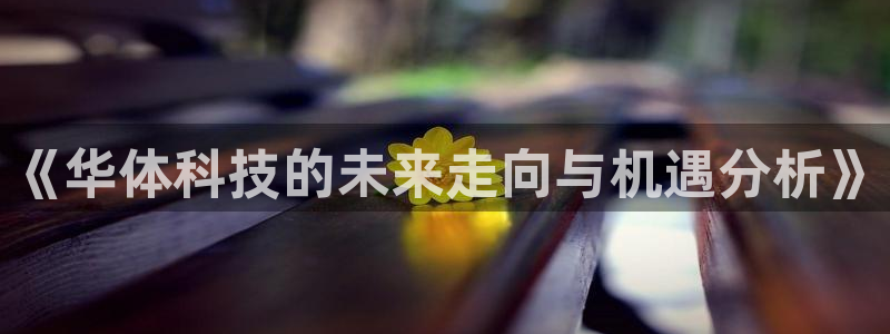 《华体科技的未来走向与机遇分析》