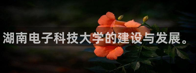 湖南电子科技大学的建设与发展。