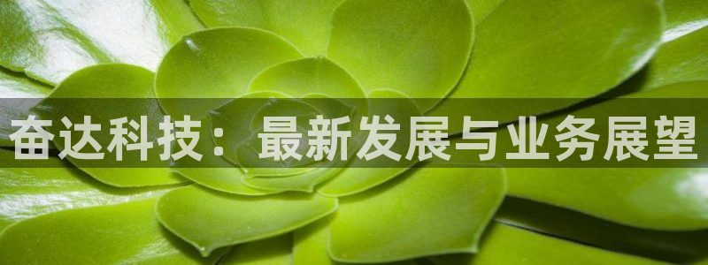 奋达科技：最新发展与业务展望