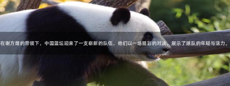 在谢方煜的带领下，中国篮坛迎来了一支崭新的队伍，他们以一场精彩的对决，展示了球队的年轻与活力。