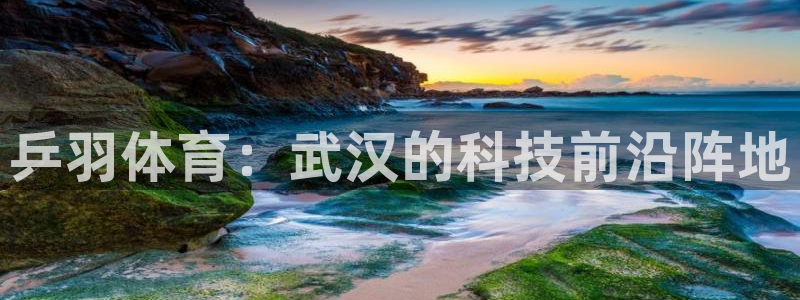 乒羽体育：武汉的科技前沿阵地