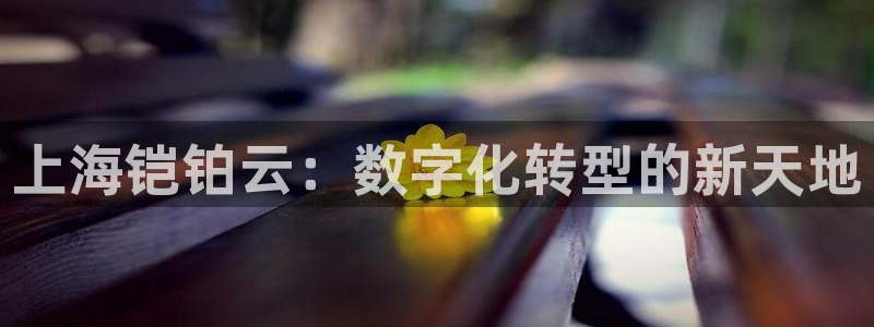 上海铠铂云：数字化转型的新天地