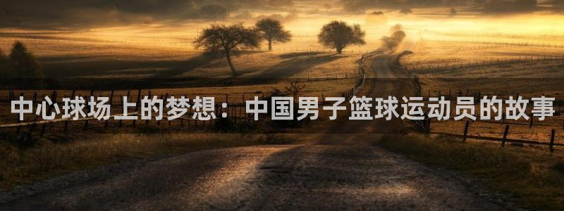 中心球场上的梦想：中国男子篮球运动员的故事